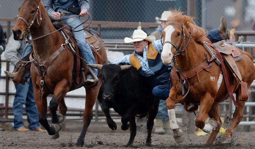 Montana State's Faulkner brothers get one last chance to team rope at ...