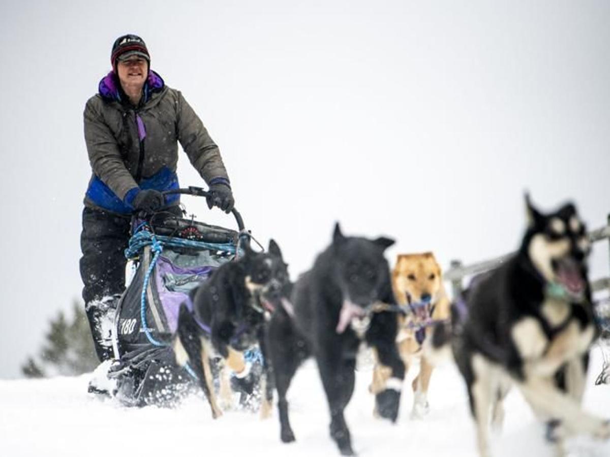Letters From a Musher: My Unexpected Leaders
