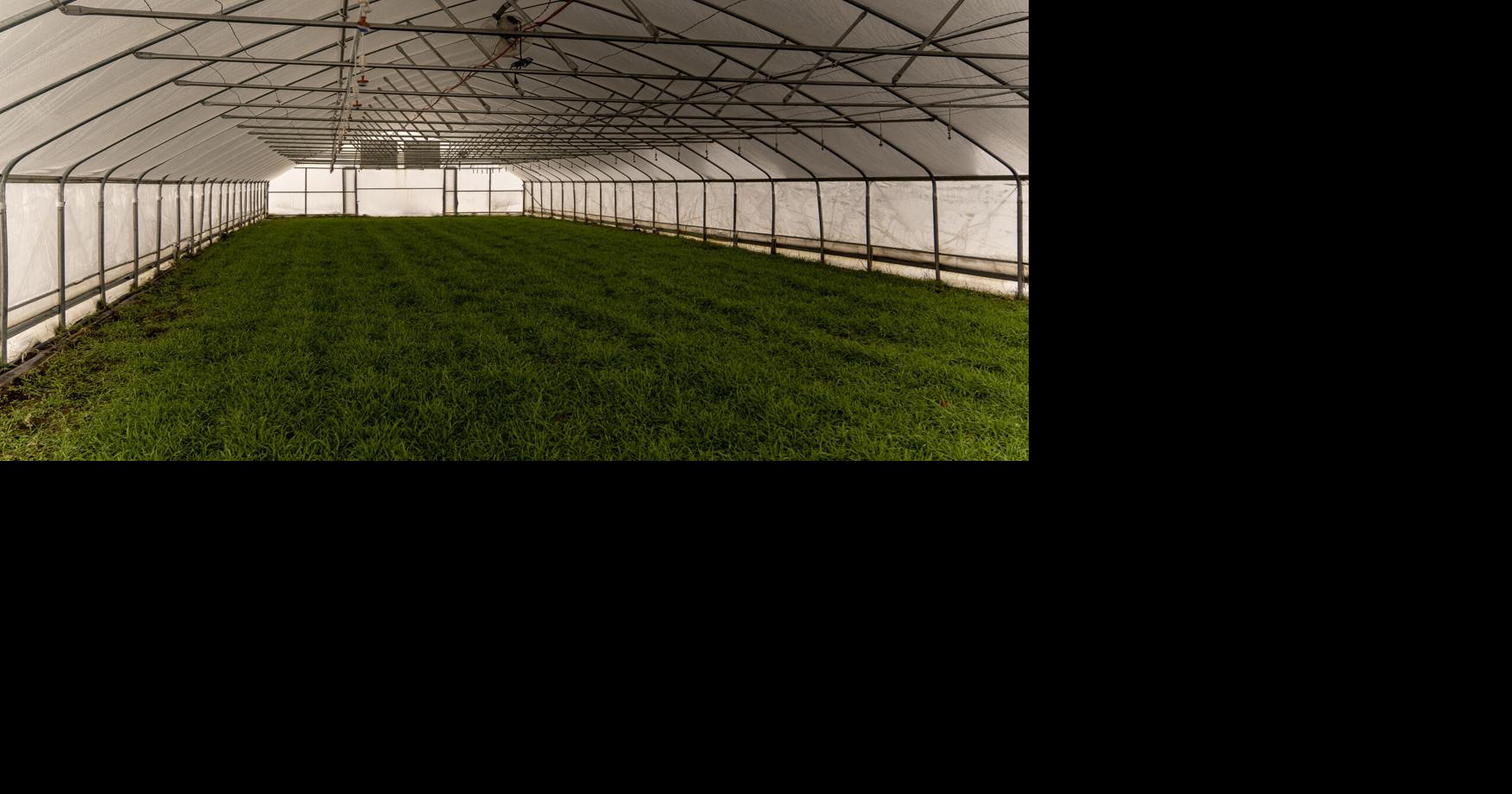 Land loss and encroachment: Can producers afford to keep farming in the Gallatin Valley?