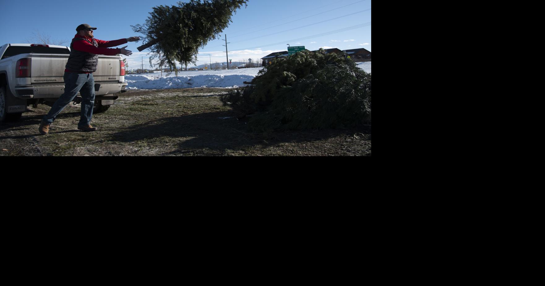 Christmas tree dropoff sites are open around Bozeman City