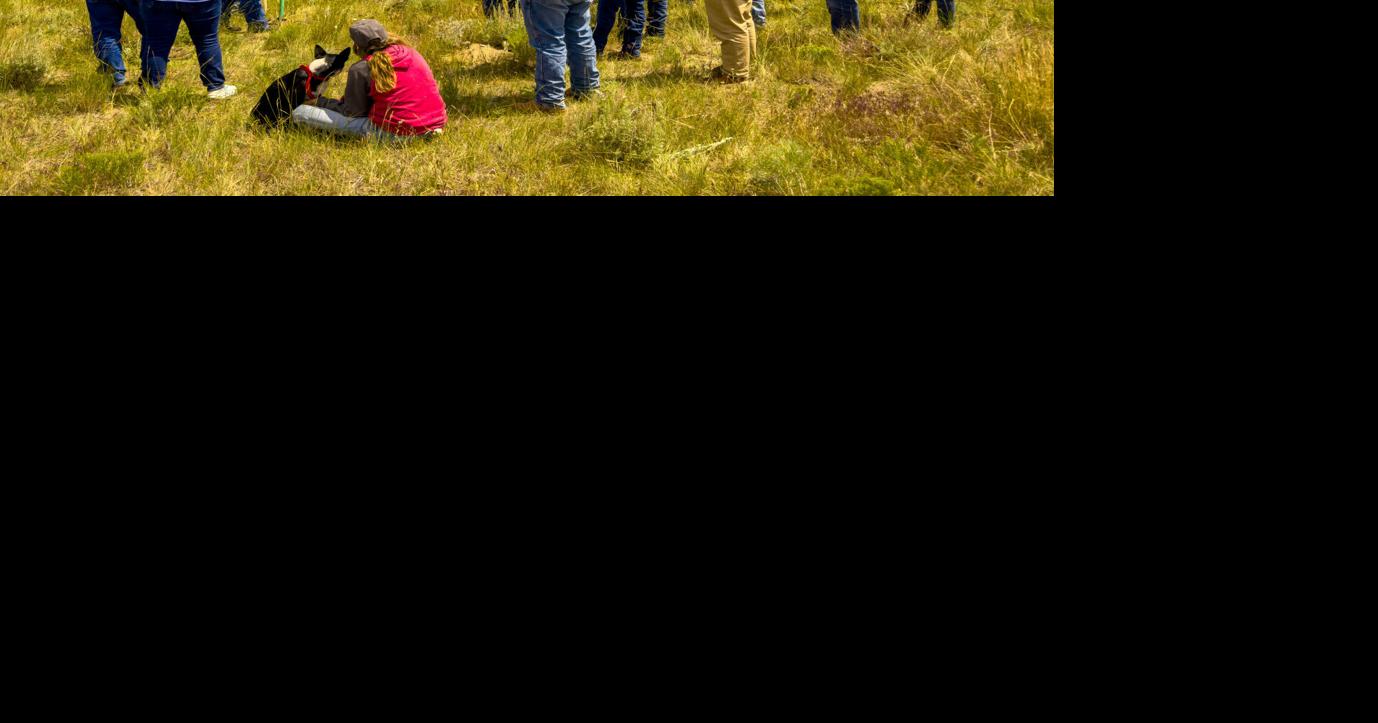 Montana Ranchers Embrace Regenerative Farming to Combat Soil Degradation and Climate Threats