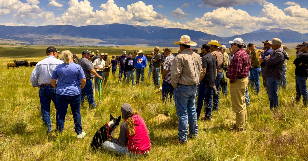 Montana Ranchers Embrace Regenerative Farming to Combat Soil Degradation and Climate Threats