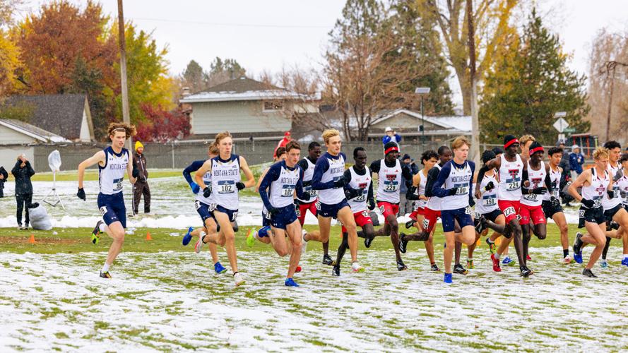 Montana State men place 7th, women 10th at cross country Mountain ...