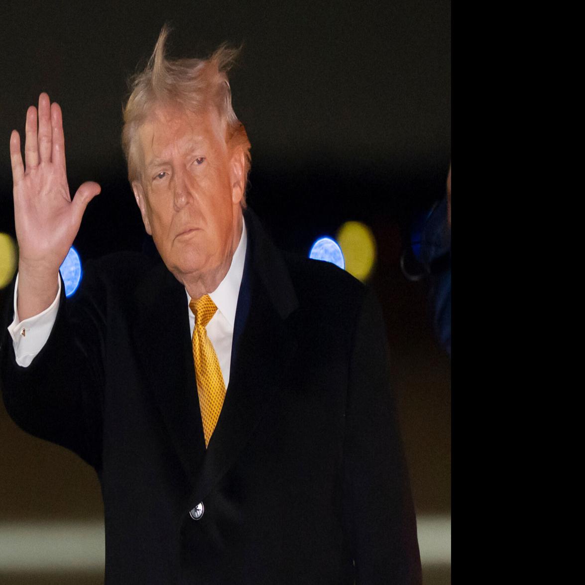 Hungee Squirrel | Kiff Wiki | Fandom, image size:1200x1200