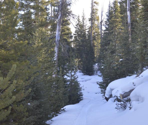 Through the snow Trailhead Tuesdays meeting leads to snowshoe
