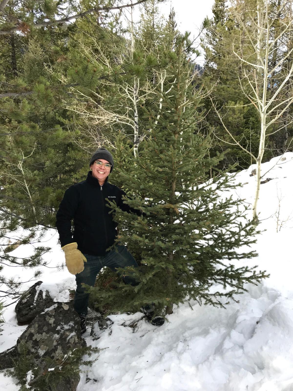 hunting for the perfect christmas tree outdoors hunting for the perfect christmas tree outdoors