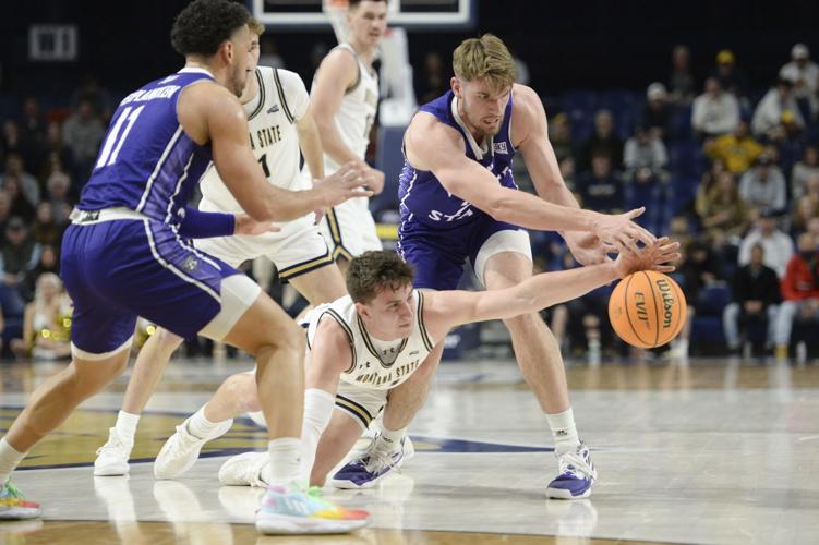 Photo Gallery Montana State vs. Weber State men's basketball Gallery