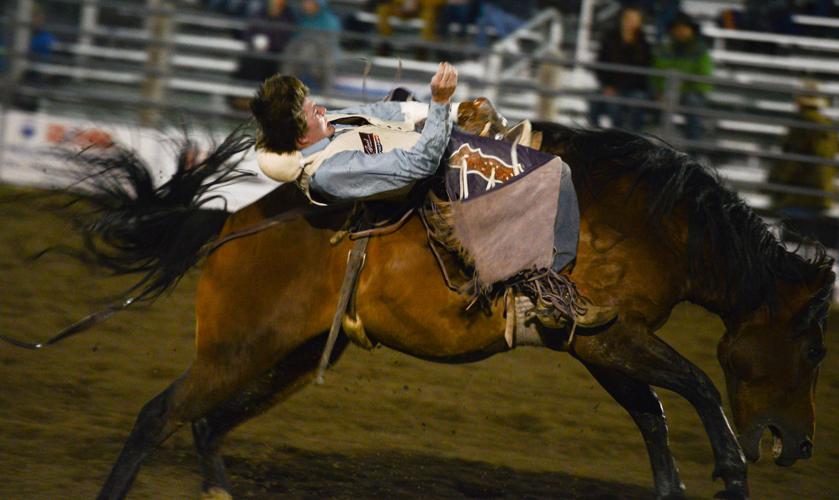 Photo gallery Ennis 4th of July Rodeo Local Sports