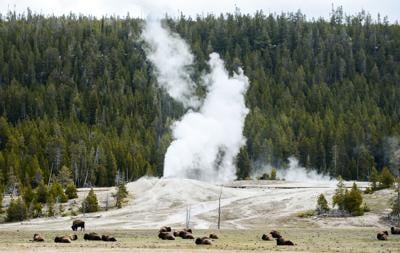 Yellowstone National Park File
