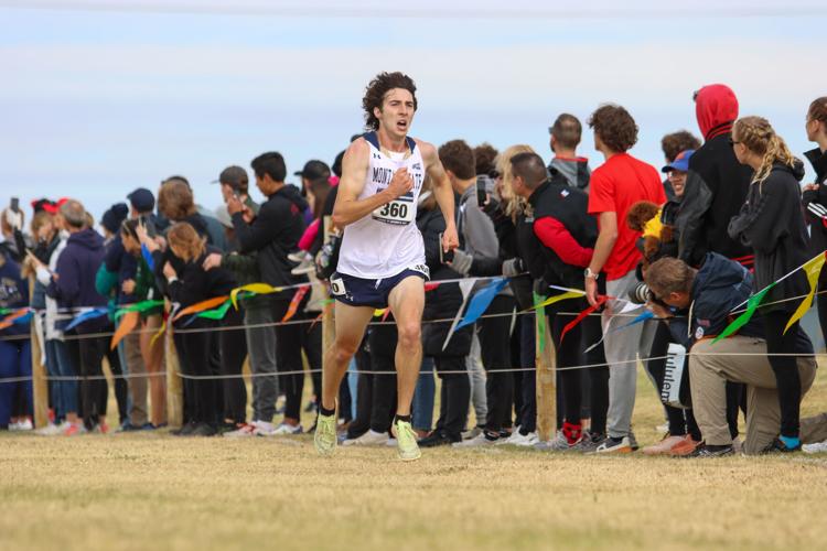 Montana State men's cross country feels better prepared in return trip