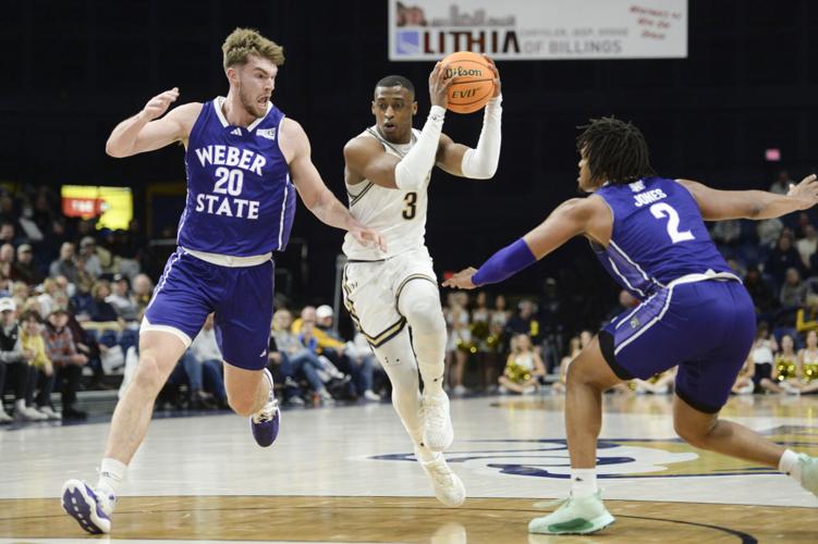 Photo Gallery Montana State vs. Weber State men's basketball Gallery