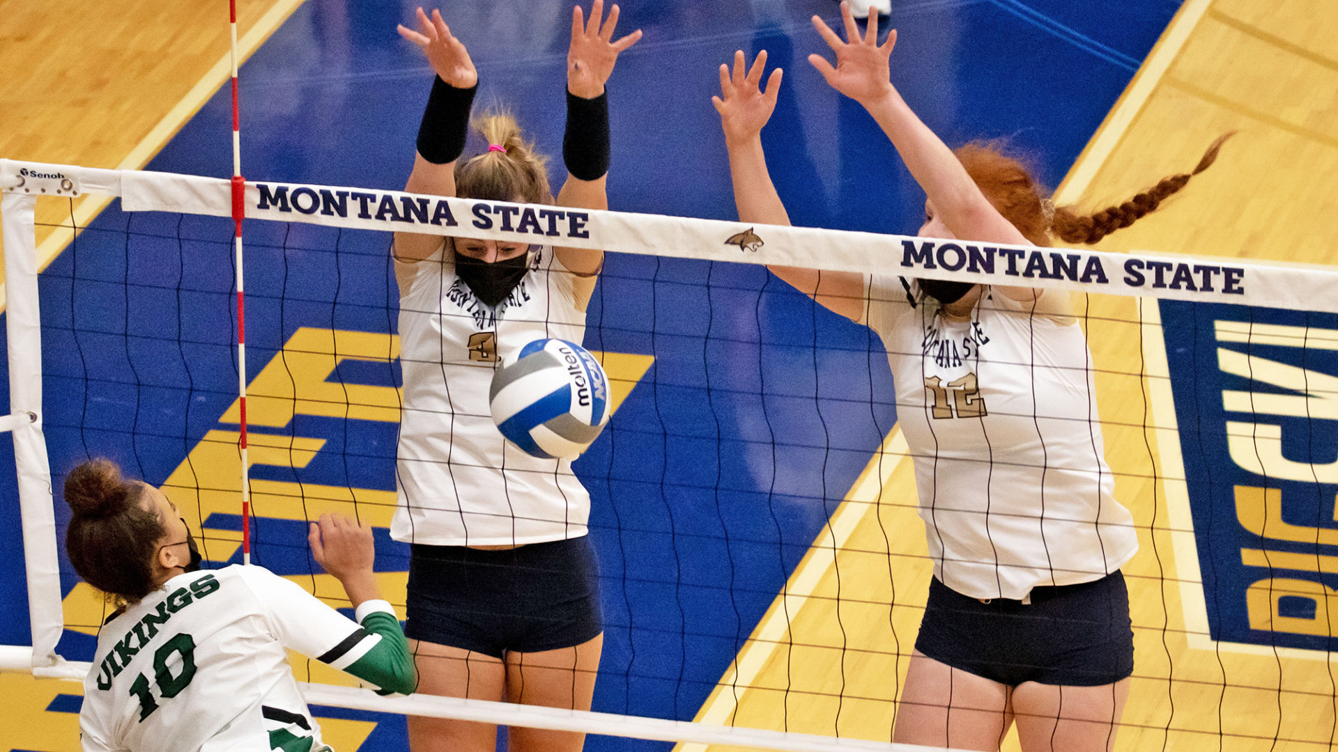 Montana State Volleyball Hosts TCU In Thursday Exhibition | Bobcats ...