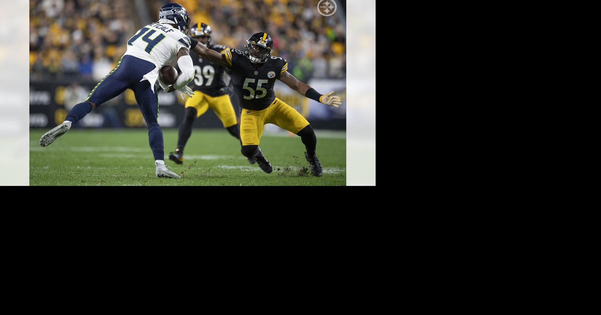 Bush's Push: A year after ACL injury, Steelers LB evolving - The