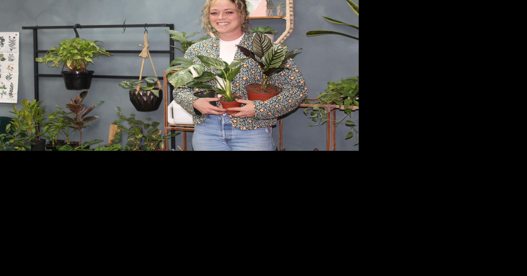 BUSINESS SPOTLIGHT Seeds and Stems growing roots on Main Street in