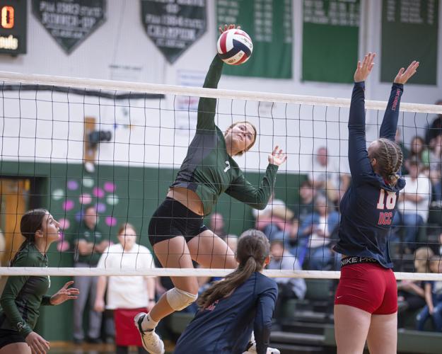 Olivia Olson - Volleyball - Clarion Athletics