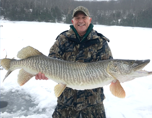 Angler gets closer to world ice fishing record: 47-inch tiger muskie caught  on Otisco Lake 