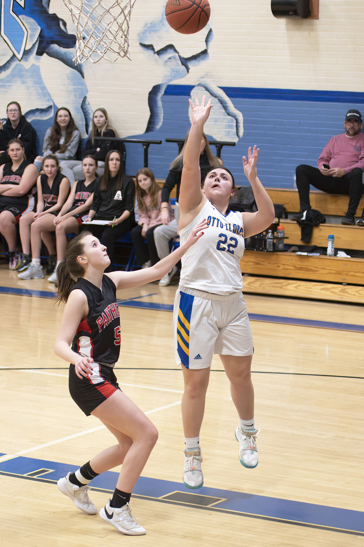 HS BASKETBALL: Huge Fourth Quarter Sends O-E Girls Past Austin, Into D9 ...