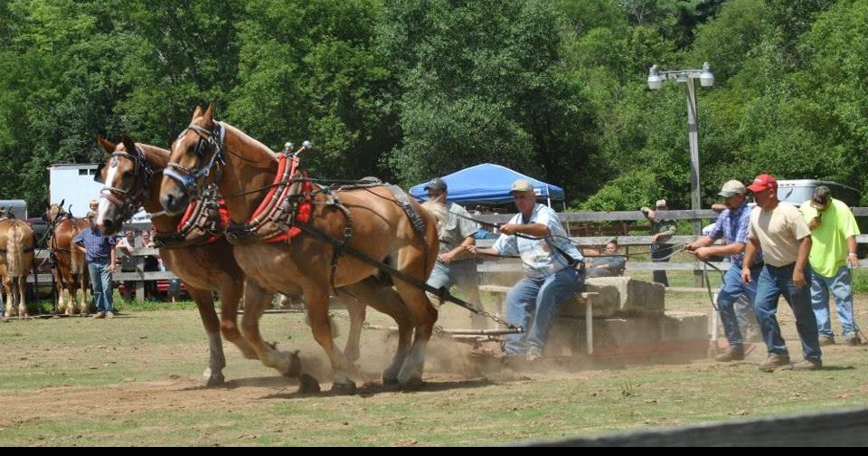 It’s all free at the Potter County Fair News