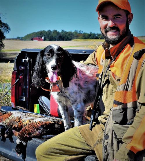 Hunting Dog