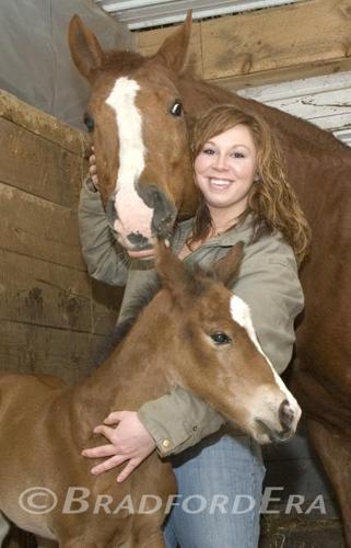 Local girl saves foal and mother during difficult birth, News