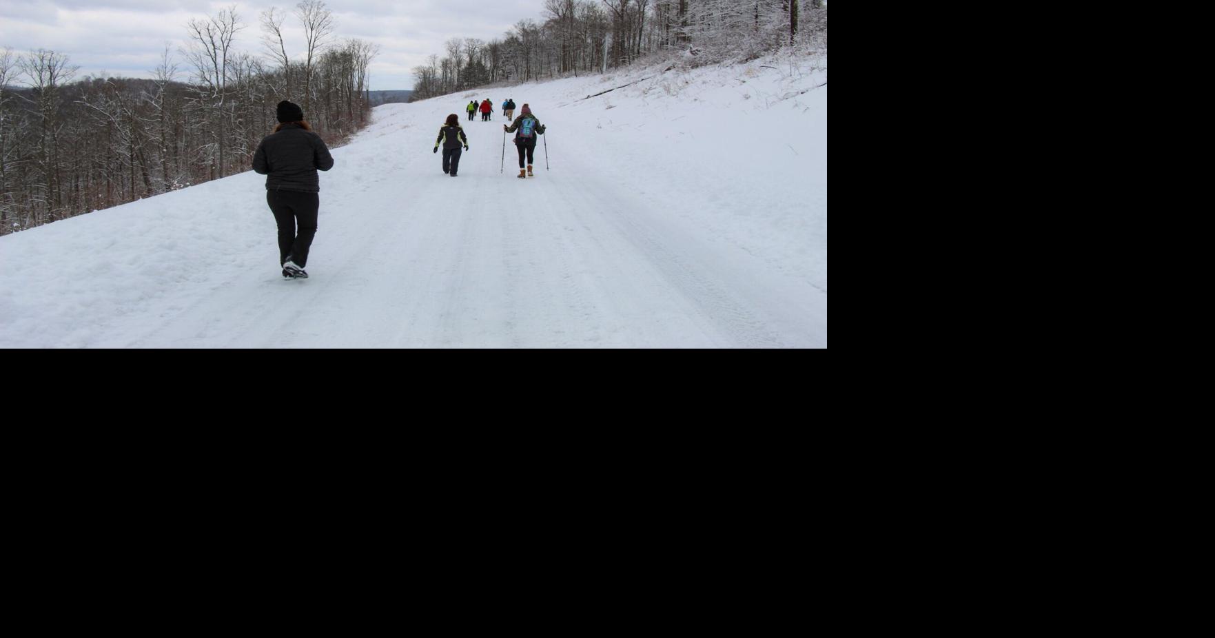 TVTA photo of Marilla 2020 Sports