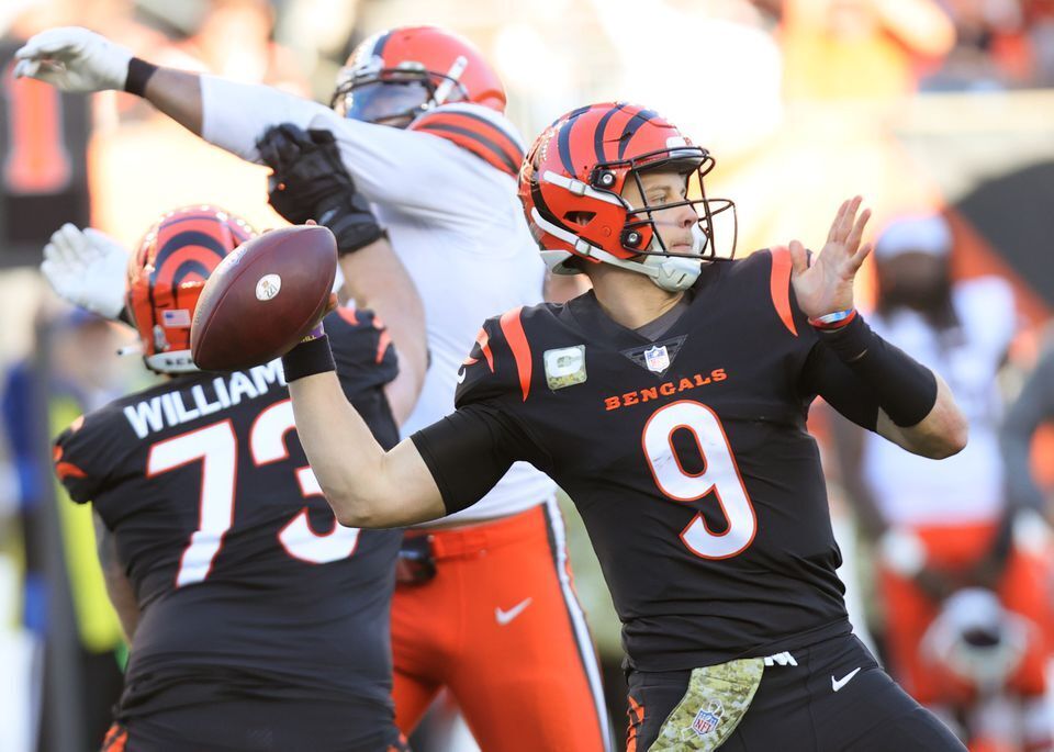 Cincinnati Bengals tight end Dan Ross catches one of his then