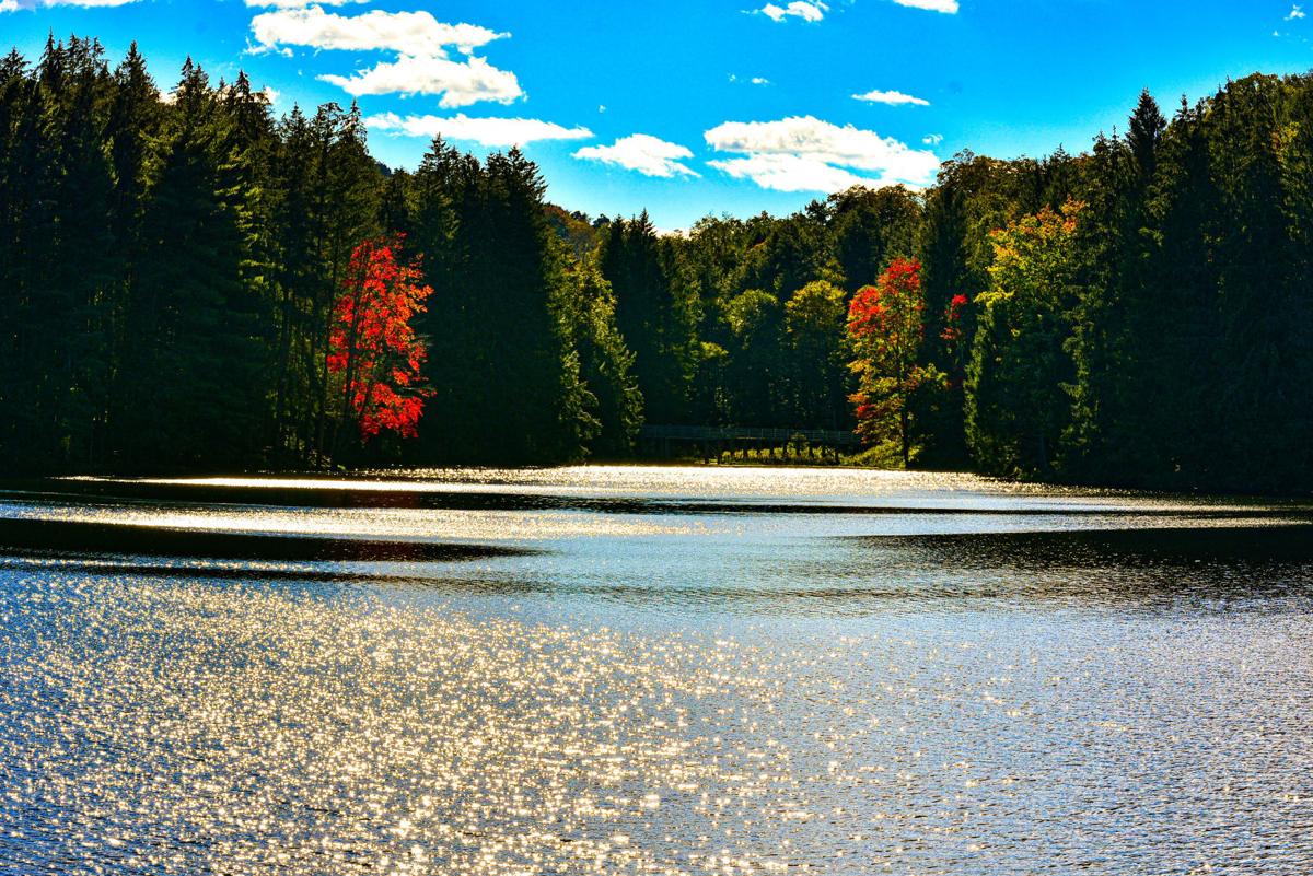 Dcnr Fall Foliage Report Area Fall Foliage Approaching Peak, Dcnr Reports | News | Bradfordera.com