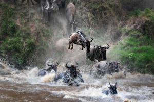 Local world-class photographer exhibit opens