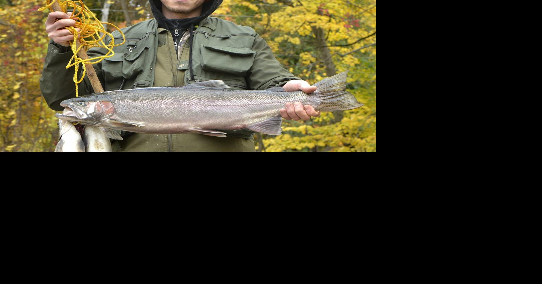 Steelhead Techniques For Lake Erie Tributaries-by Tim Trainer