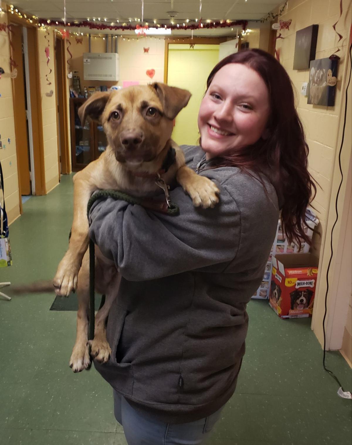 Mckean County S P C A Rescues At Risk Dogs From West Virginia