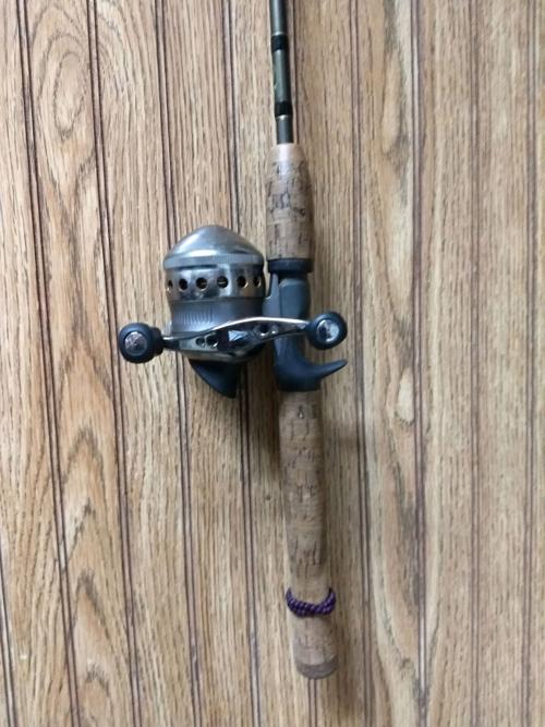 Jane's Fishing Pole
