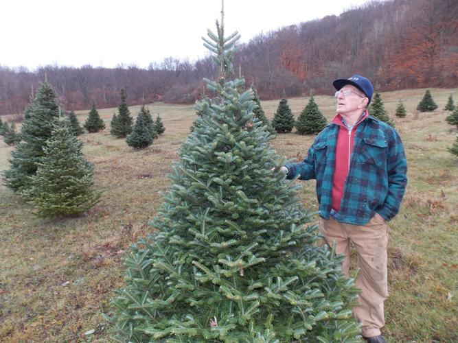 Christmas tree farm keeps owner active and customers happy