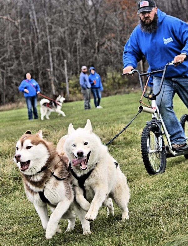 Land sled sales