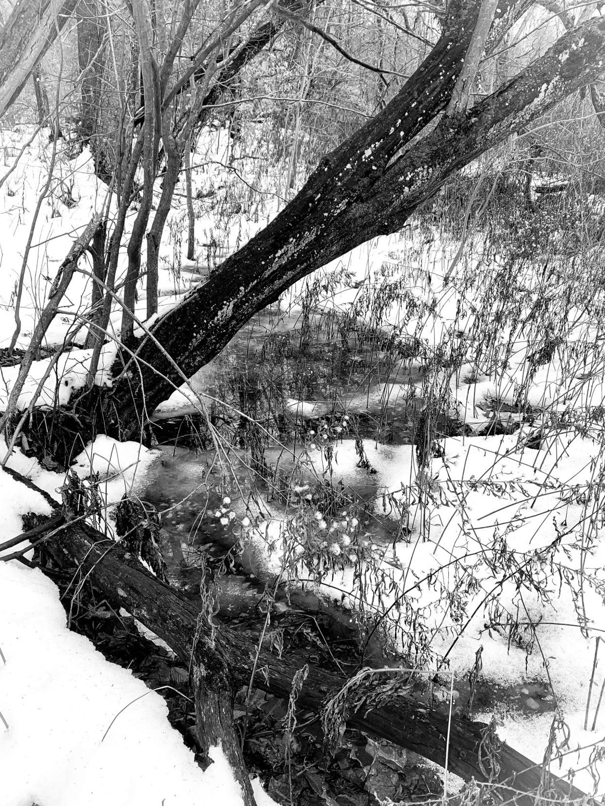 Snow melting feature photos News