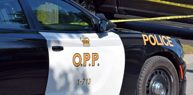 Brampton Resident Facing Driving, Drug Trafficking Charges