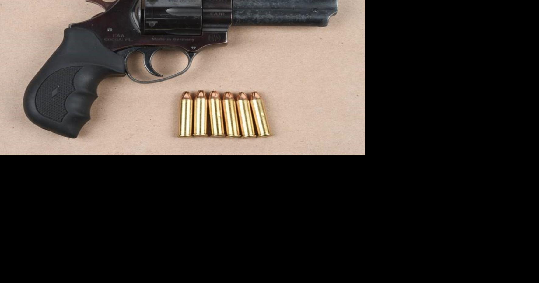 Peel cops find loaded revolver during Brampton investigation