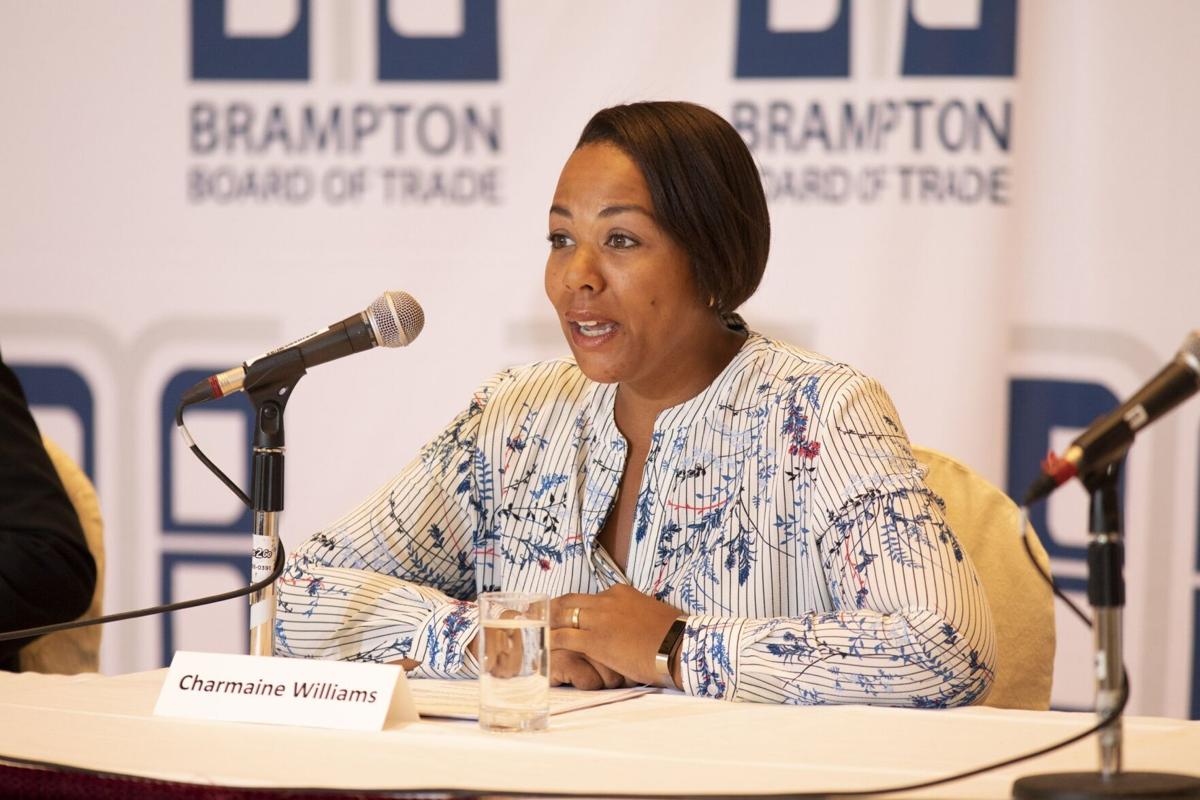 Brampton to conduct review of sign bylaw amid dispute over councillor's