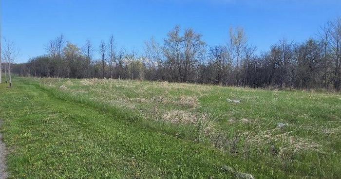 42 homes proposed on 5-acre Brampton agricultural site