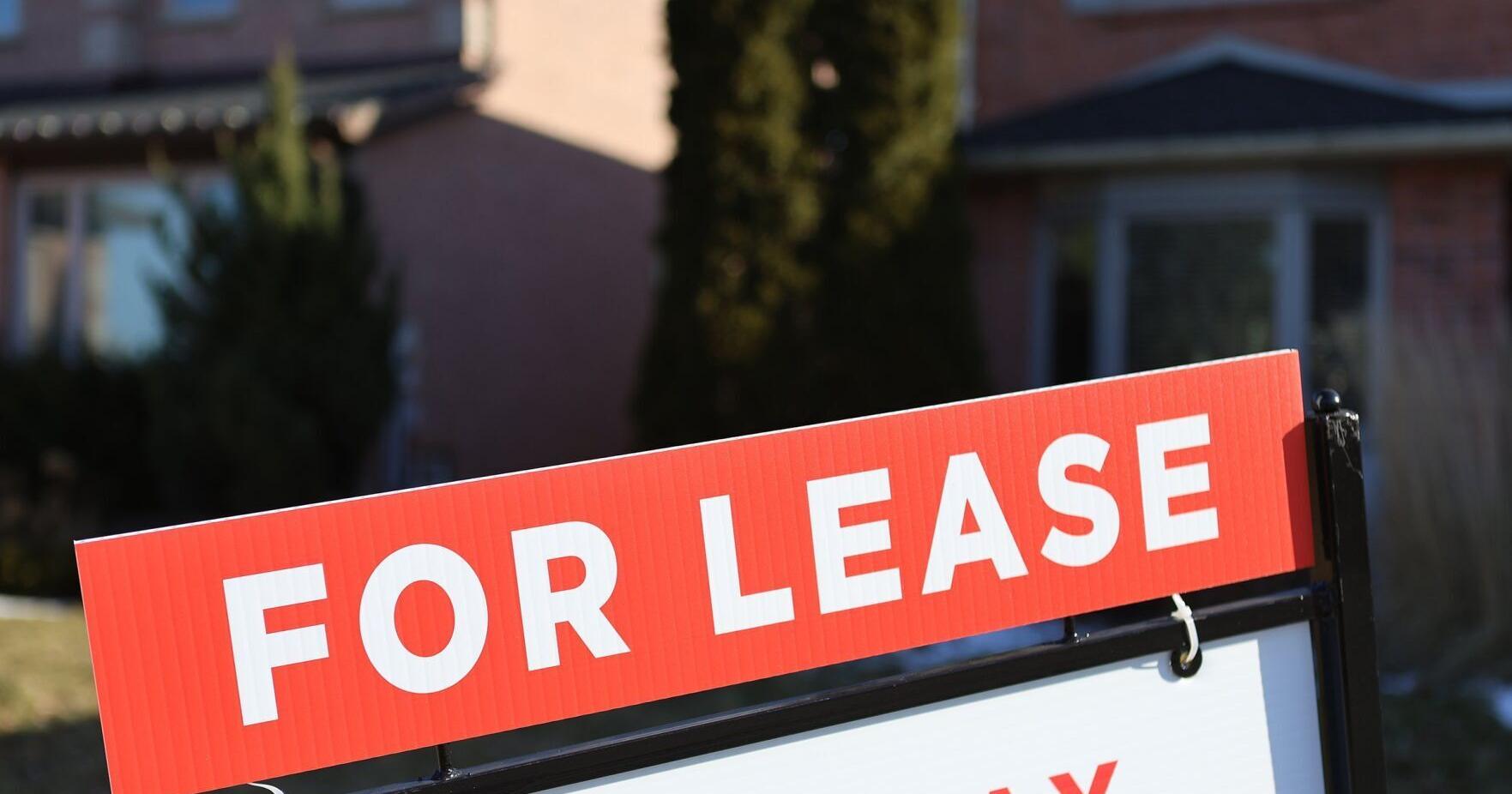 Brampton relaunches controversial landlord licensing pilot - Vimarsana News