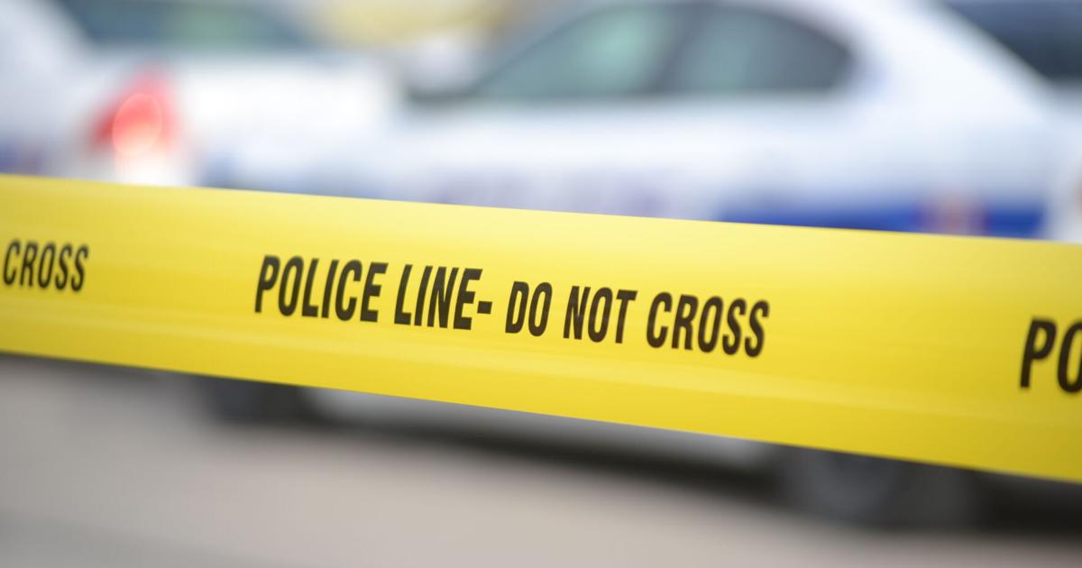 Skateboarder snatches woman's purse near Bramalea City Centre Skateboarder snatches woman's purse near Bramalea City Centre