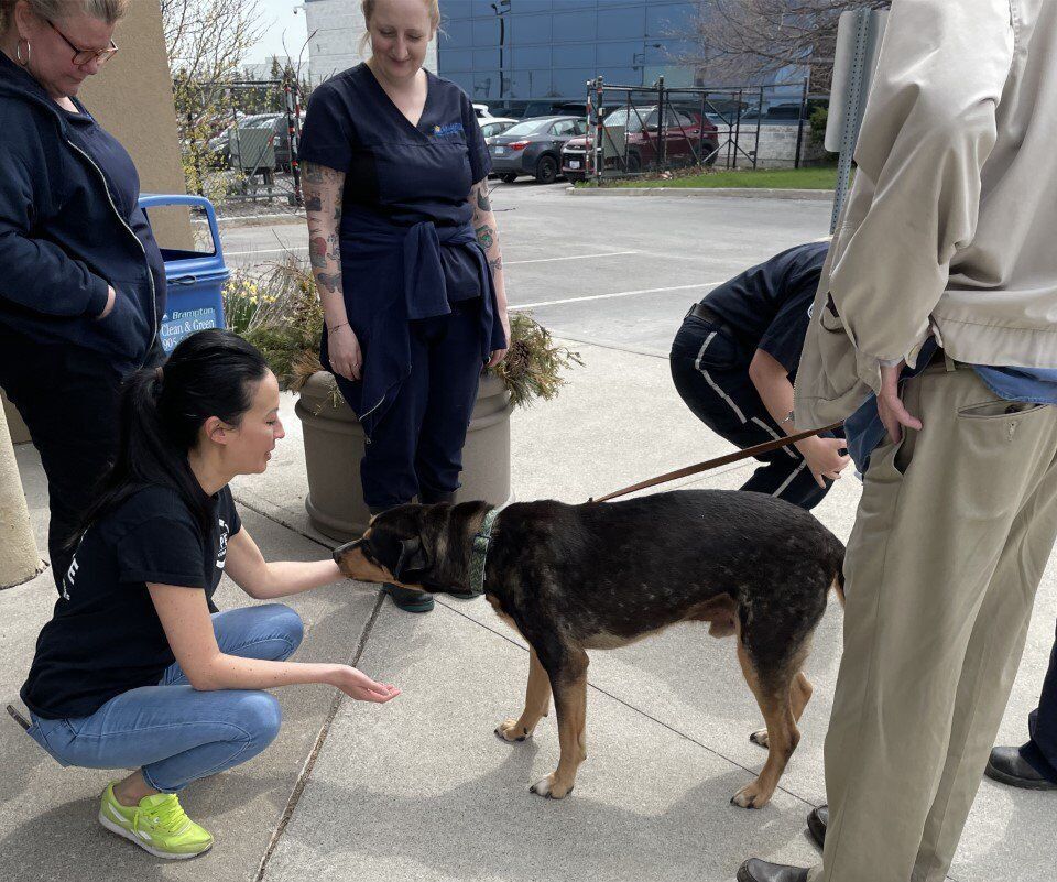 Hamilton area retiree adopts dog who stayed 2 years at shelter