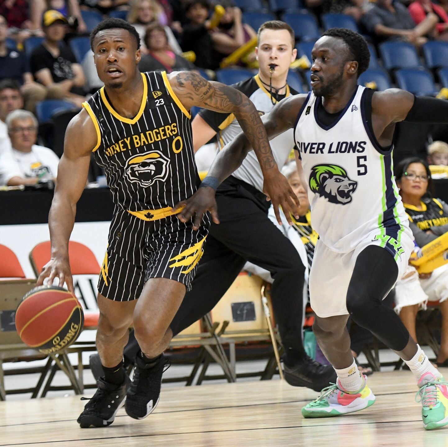 Mark Cuban Invests in Canadian Basketball League's Brampton Honey Badgers — image 2