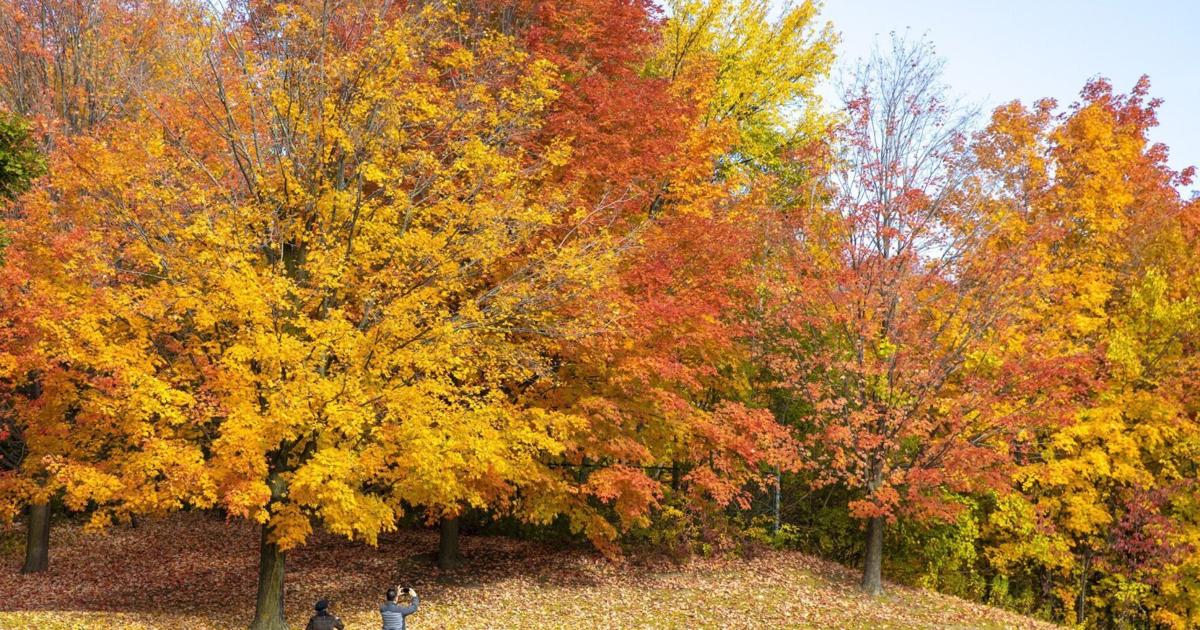 Hamilton Fall Color Five best places to experience fall colours in Brampton