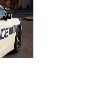 Brampton man charged with drug and firearm offences