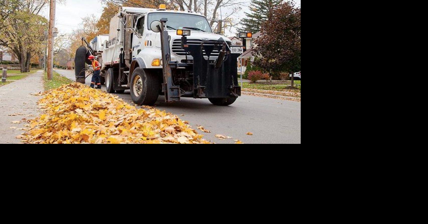 Leaf vacuum program to begin in some Brampton neighbourhoods