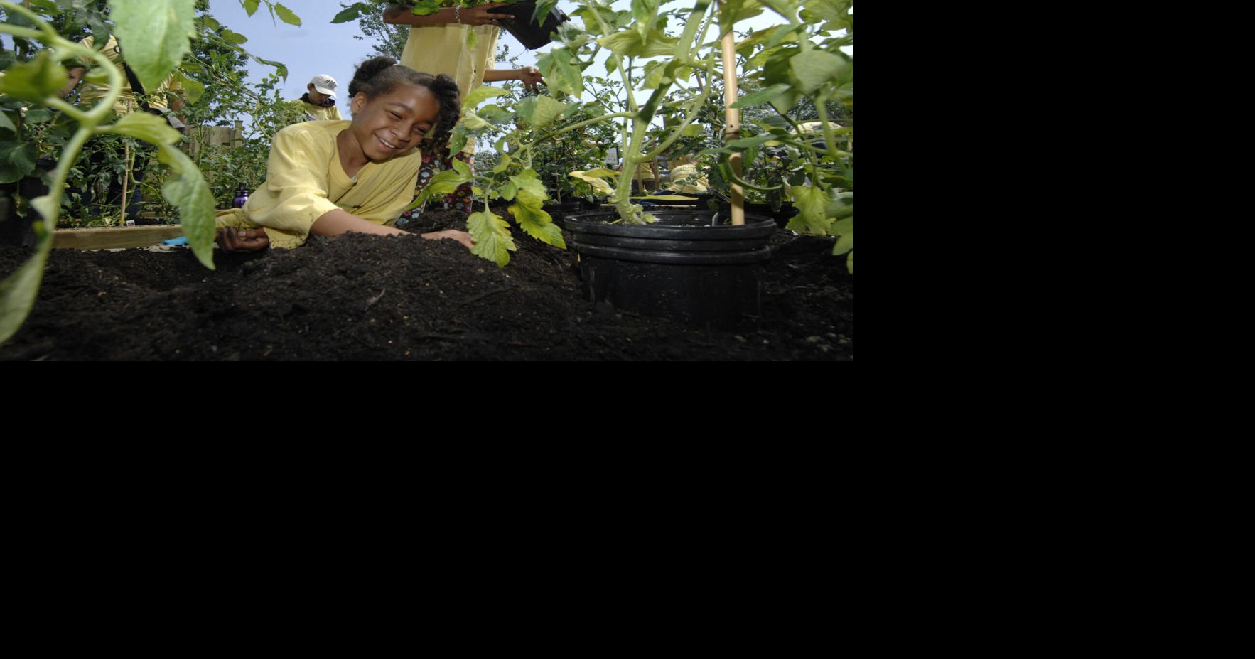 Seeds of learning planted