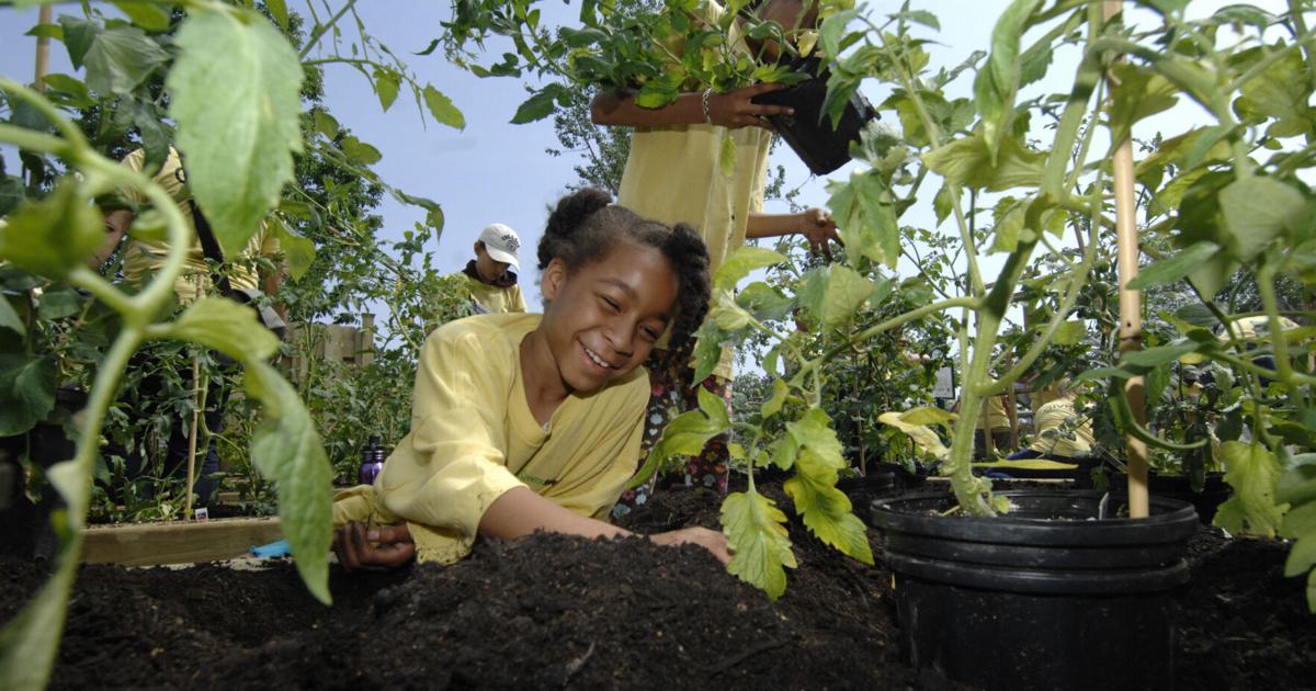 Learning Seed Seeds of learning planted