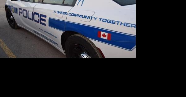 Woman hit by Peel police cruiser released from hospital - Vimarsana News