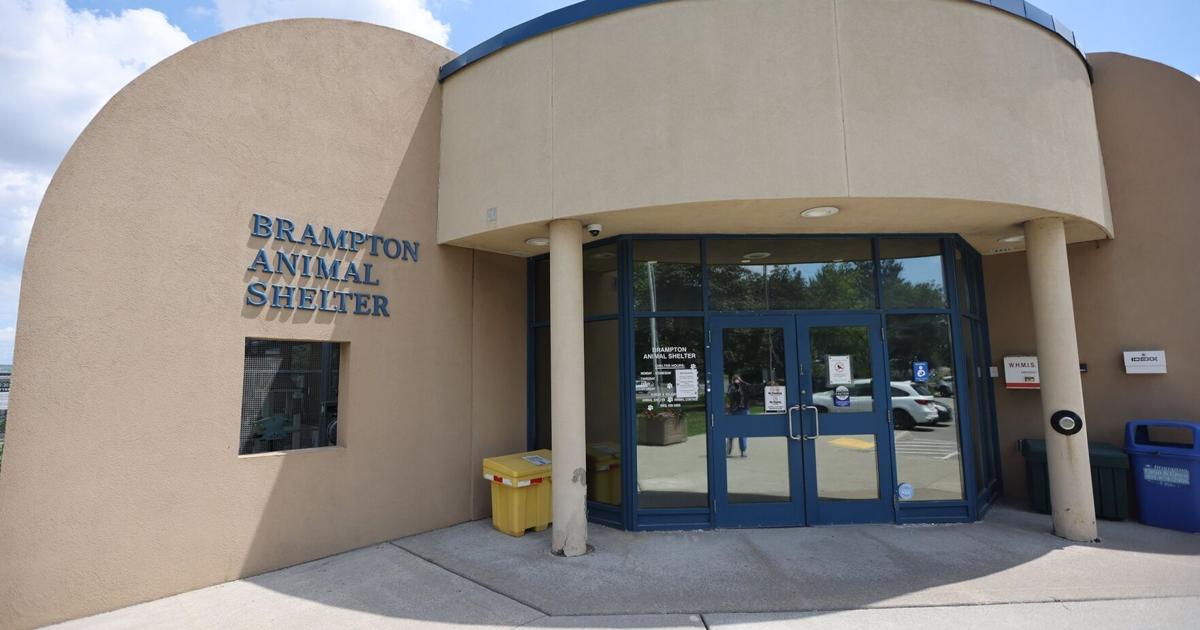 Brampton woman generously leaves $50K to city’s animal shelter in will