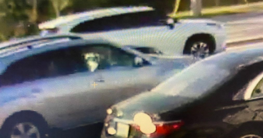 Suspect sought following alleged road rage incident in Brampton